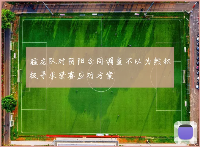 猛龙队对阴阳合同调查不以为然积极寻求禁赛应对方案