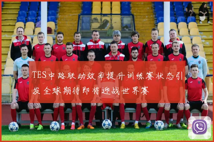 TES中路联动效率提升训练赛状态引发全球期待即将迎战世界赛