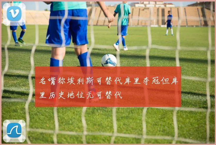 名嘴称埃利斯可替代库里夺冠但库里历史地位无可替代